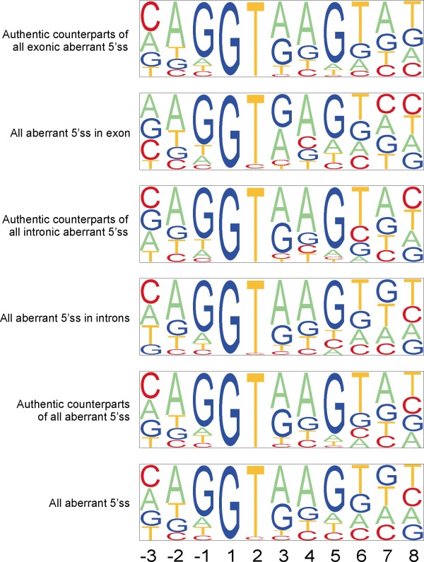 Consensus Sequence